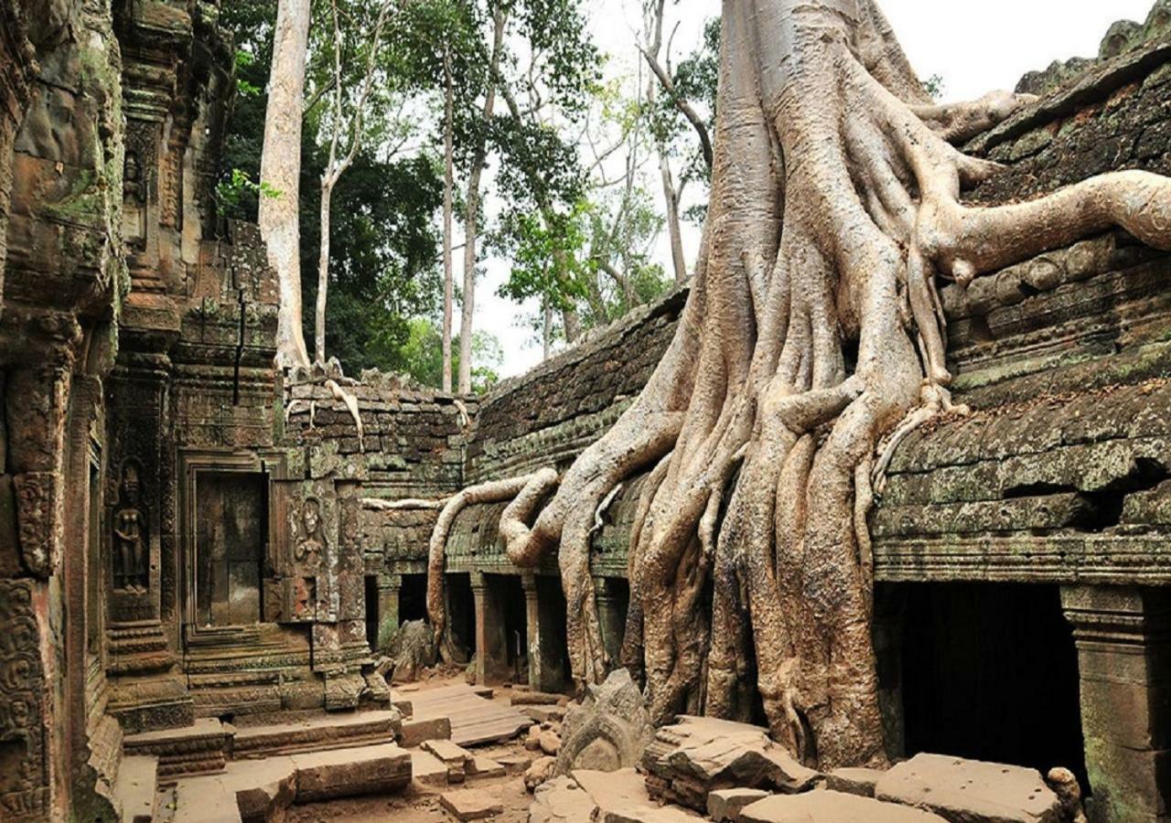 Anachak Angkor Residence Сіємреап Екстер'єр фото